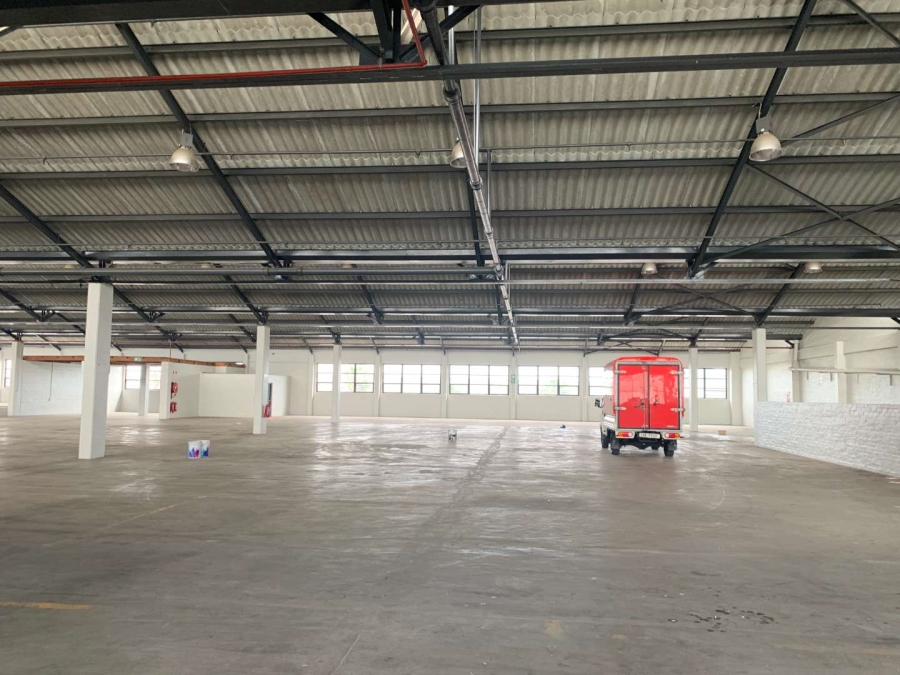 To Let Commercial Property for Rent in Paarden Eiland Western Cape